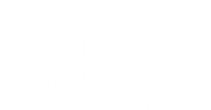 Aquila silvestre advogado trabalhista